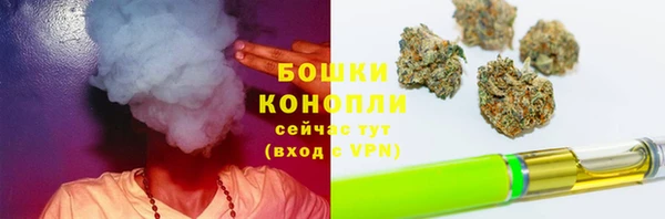 спайс Магас