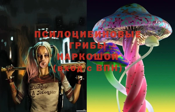 спайс Магас